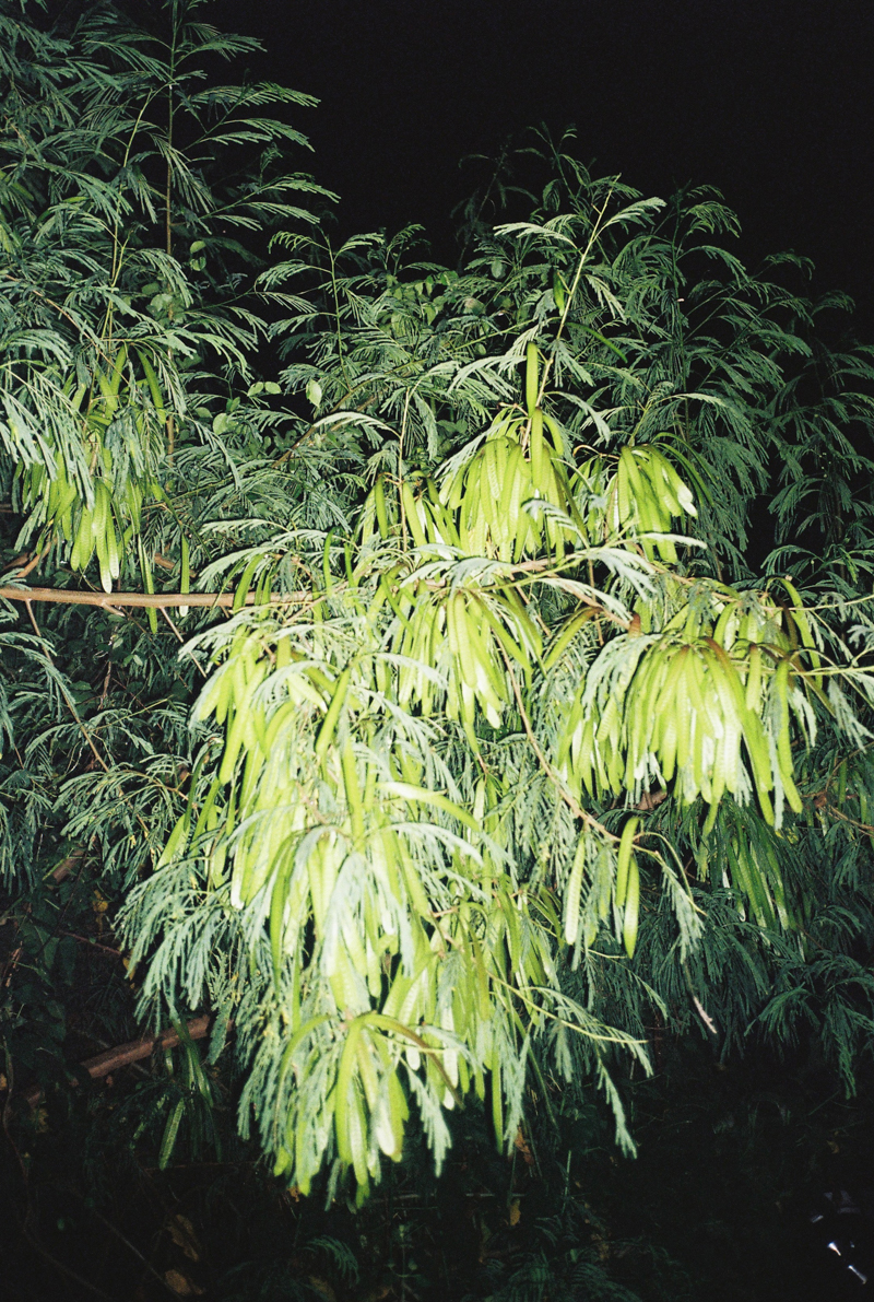 Third slide image